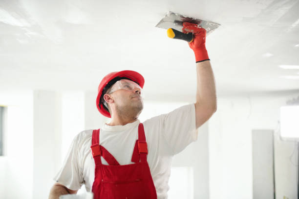 Best Drywall Sanding and Smoothing  in Rahway, NJ